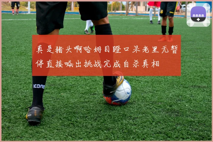 真是猪头啊哈姆目瞪口呆老里无暂停直接喊出挑战完成自杀真相