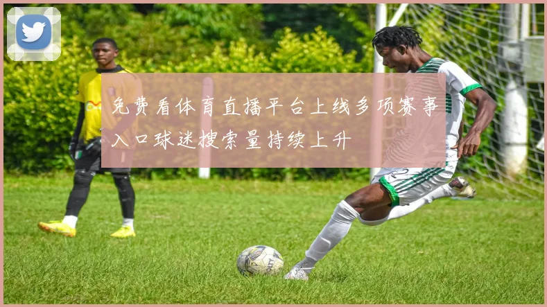 免费看体育直播平台上线多项赛事入口球迷搜索量持续上升