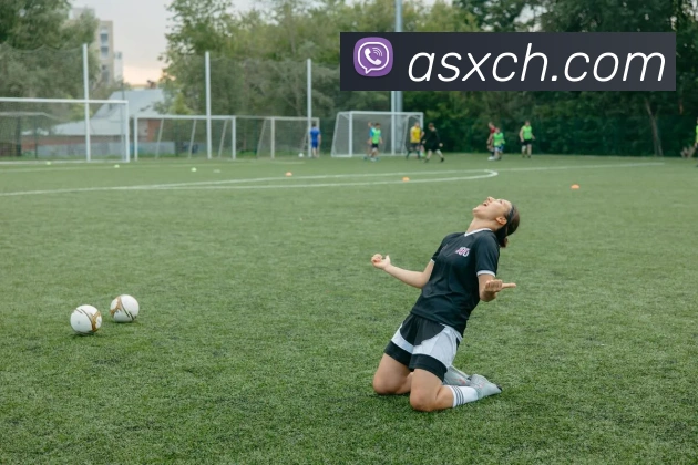 多媒体互动体验